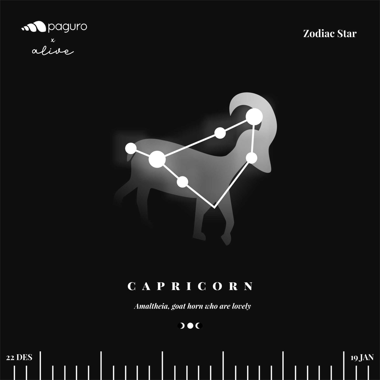 Capricorn Zodiac Sign Sustainable Necklace-3