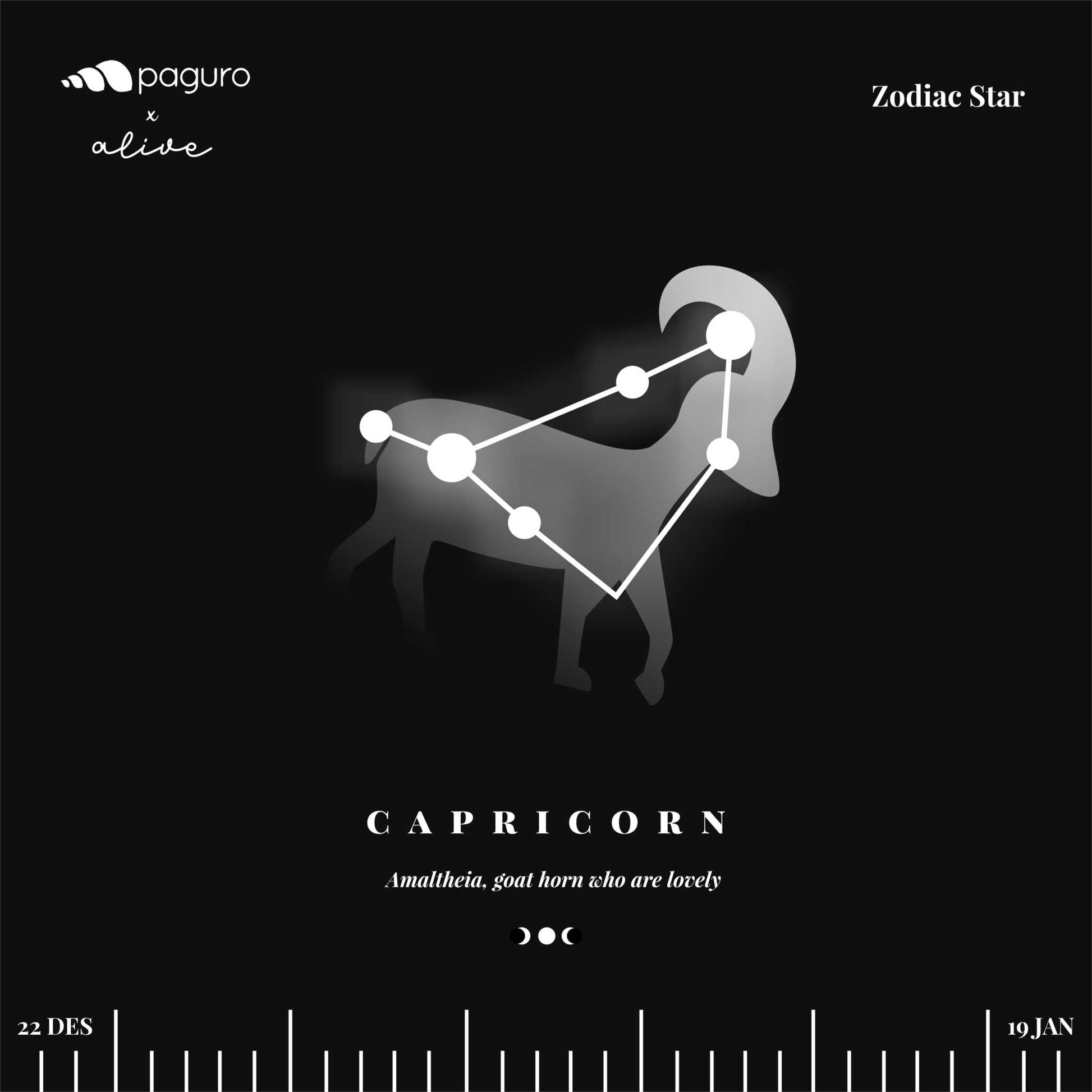 Capricorn Zodiac Sign Sustainable Necklace-3