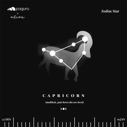 Capricorn Zodiac Sign Sustainable Necklace-3